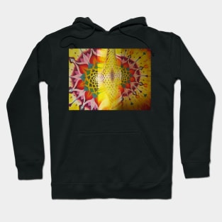 Mandala Hoodie